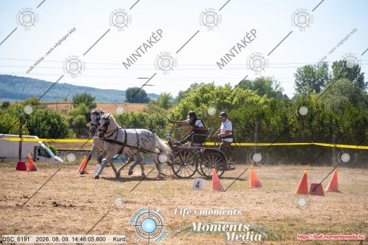 Mintakép 20260809-1316