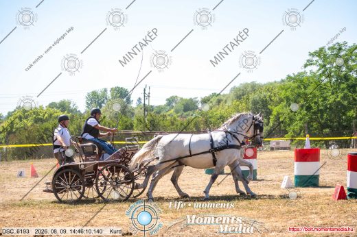 Mintakép 20260809-1317