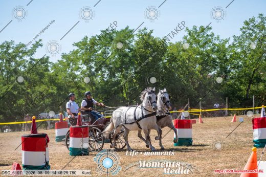 Mintakép 20260809-1320