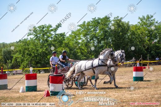Mintakép 20260809-1322