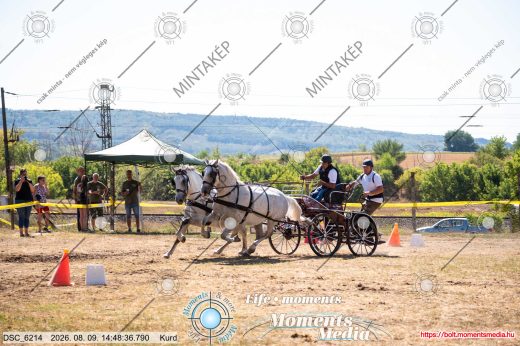 Mintakép 20260809-1331