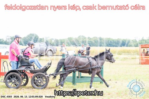 Mintakép 20260613-1631