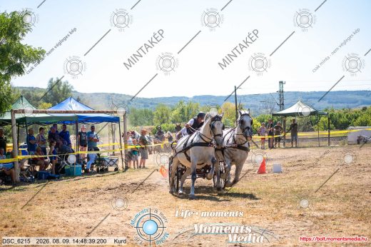 Mintakép 20260809-1332