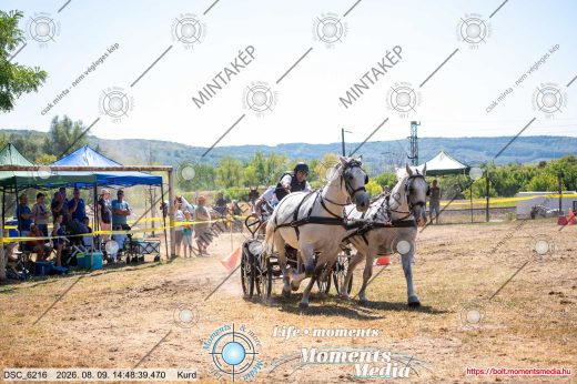 Mintakép 20260809-1333