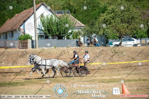Mintakép 20260809-1341