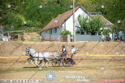 Mintakép 20260809-1342