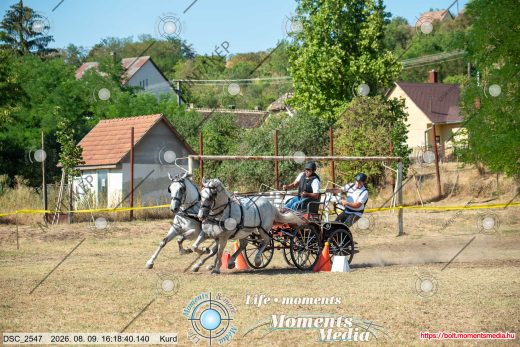 Mintakép 20260809-1344