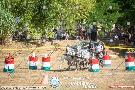 Mintakép 20260809-1352
