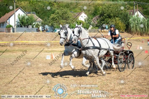 Mintakép 20260809-1353