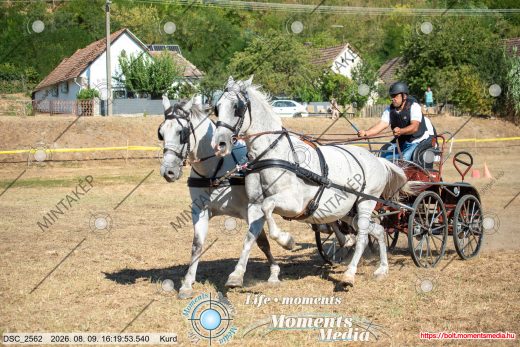 Mintakép 20260809-1354