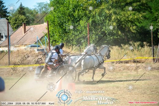 Mintakép 20260809-1356