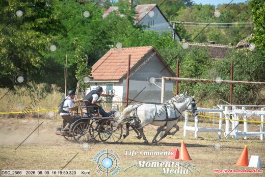 Mintakép 20260809-1357