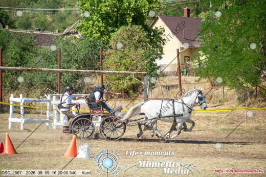 Mintakép 20260809-1358