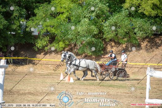 Mintakép 20260809-1359