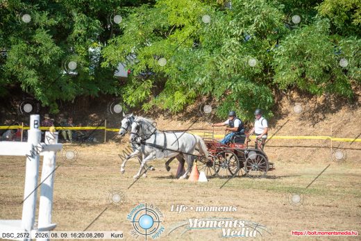 Mintakép 20260809-1360