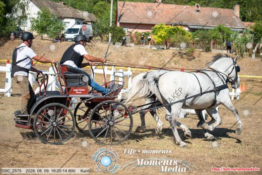 Mintakép 20260809-1362