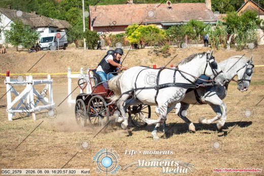Mintakép 20260809-1366