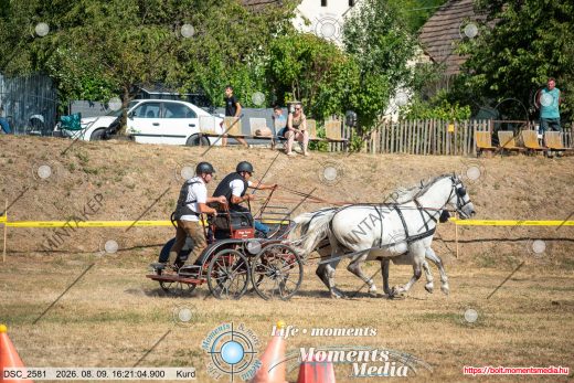 Mintakép 20260809-1368