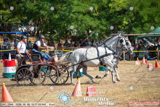 Mintakép 20260809-1371