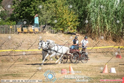 Mintakép 20260809-1373