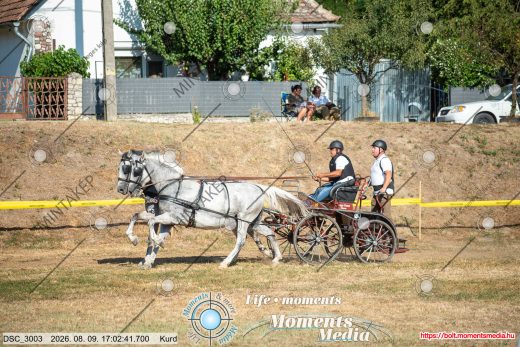 Mintakép 20260809-1375