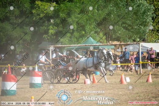 Mintakép 20260809-1380