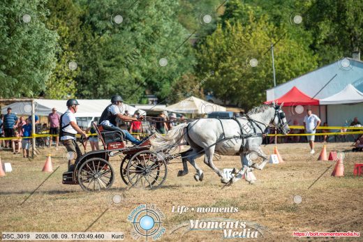 Mintakép 20260809-1383