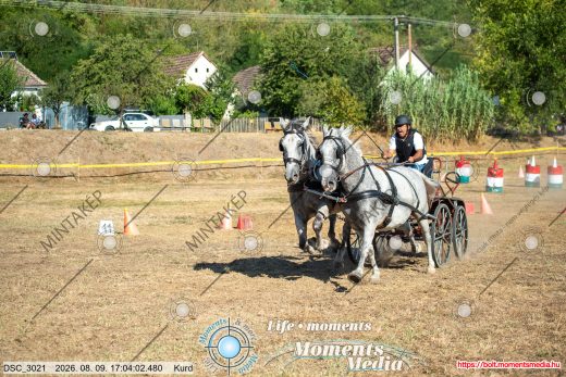 Mintakép 20260809-1385