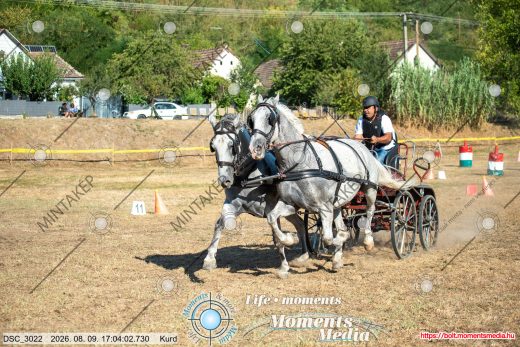 Mintakép 20260809-1386