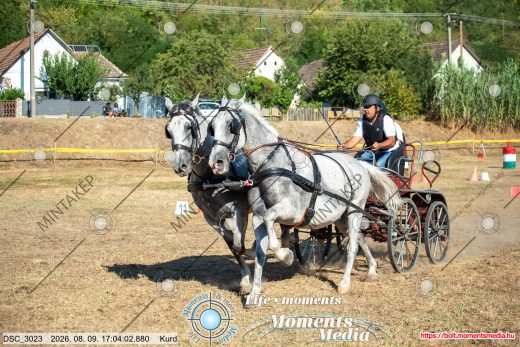 Mintakép 20260809-1387