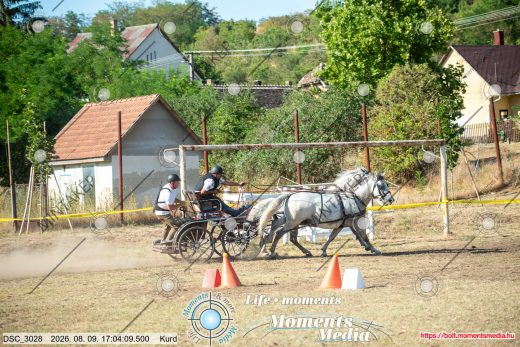 Mintakép 20260809-1392