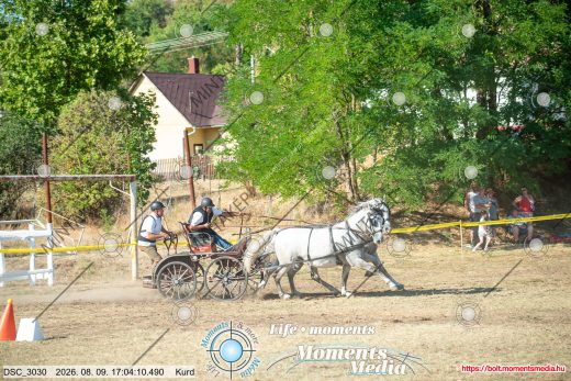Mintakép 20260809-1393
