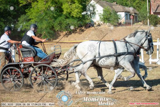 Mintakép 20260809-1394