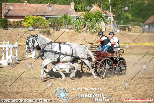 Mintakép 20260809-1396