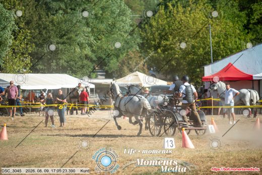 Mintakép 20260809-1401