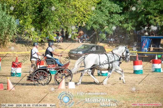 Mintakép 20260809-1402