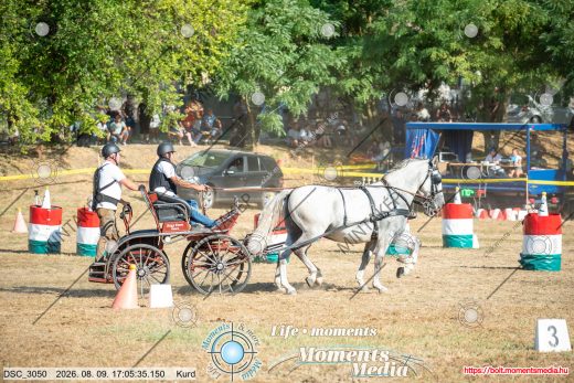 Mintakép 20260809-1403