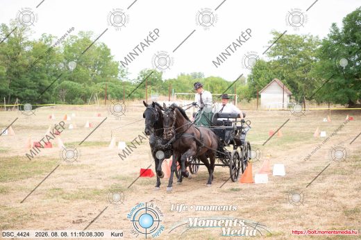 Mintakép 20260808-541