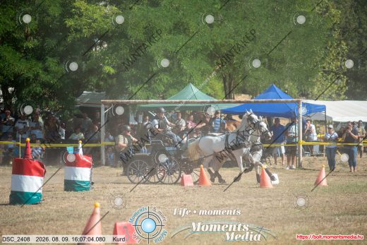 Mintakép 20260809-1447