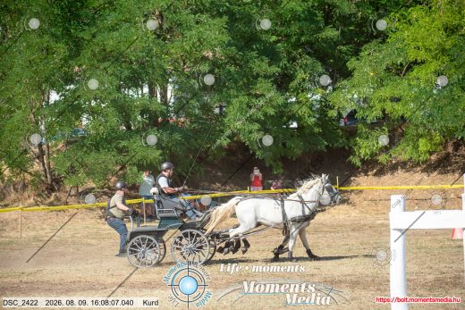 Mintakép 20260809-1460