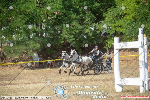 Mintakép 20260809-1461