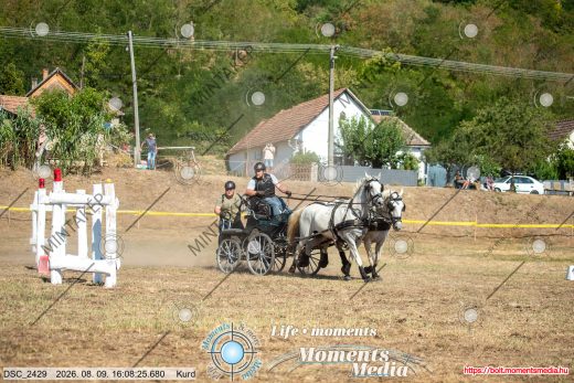 Mintakép 20260809-1467