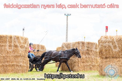 Mintakép 20260613-1647