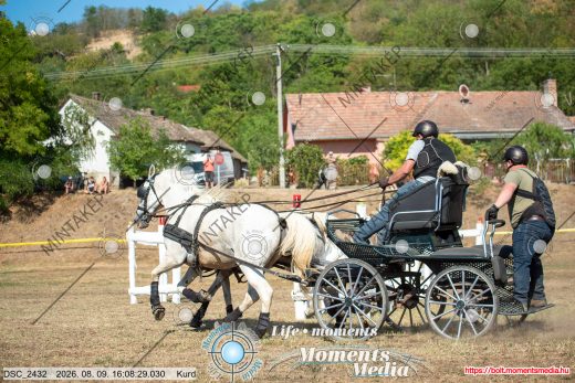 Mintakép 20260809-1470