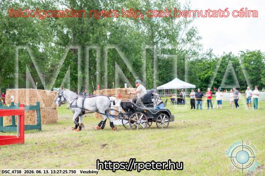 Mintakép 20260613-144