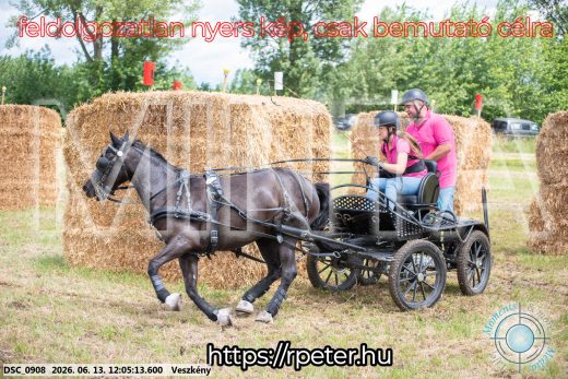Mintakép 20260613-1650