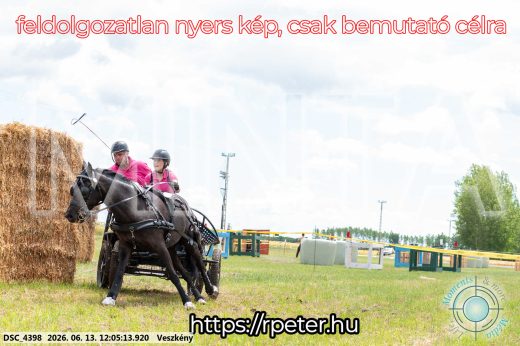 Mintakép 20260613-1651