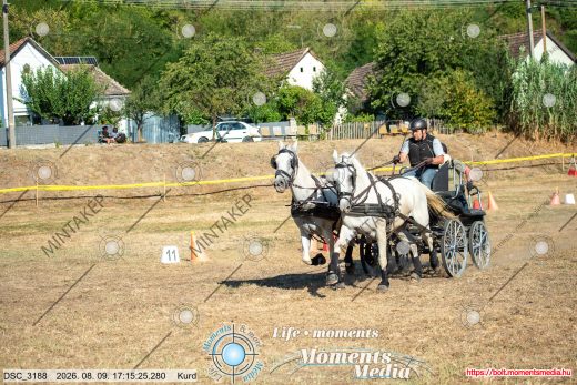 Mintakép 20260809-1510