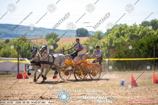 Mintakép 20260809-1568