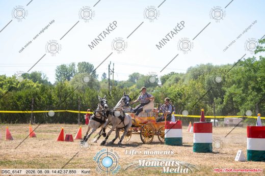 Mintakép 20260809-1574